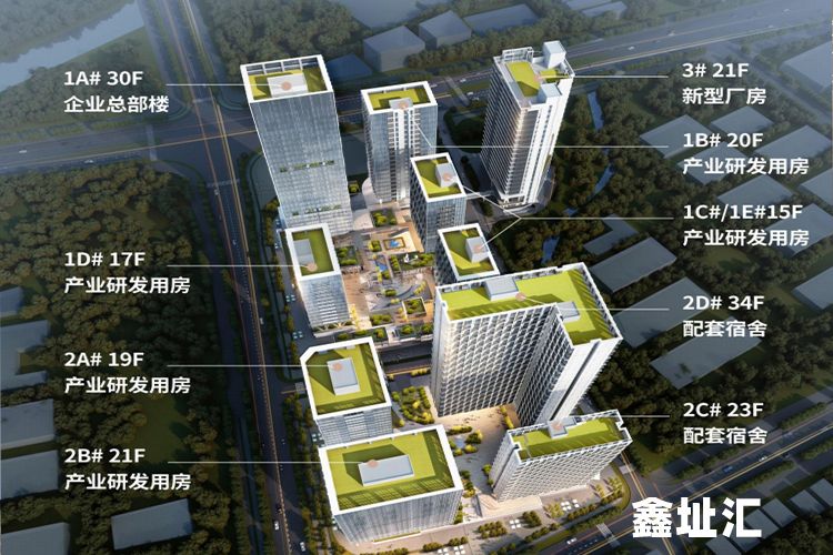 大集汇