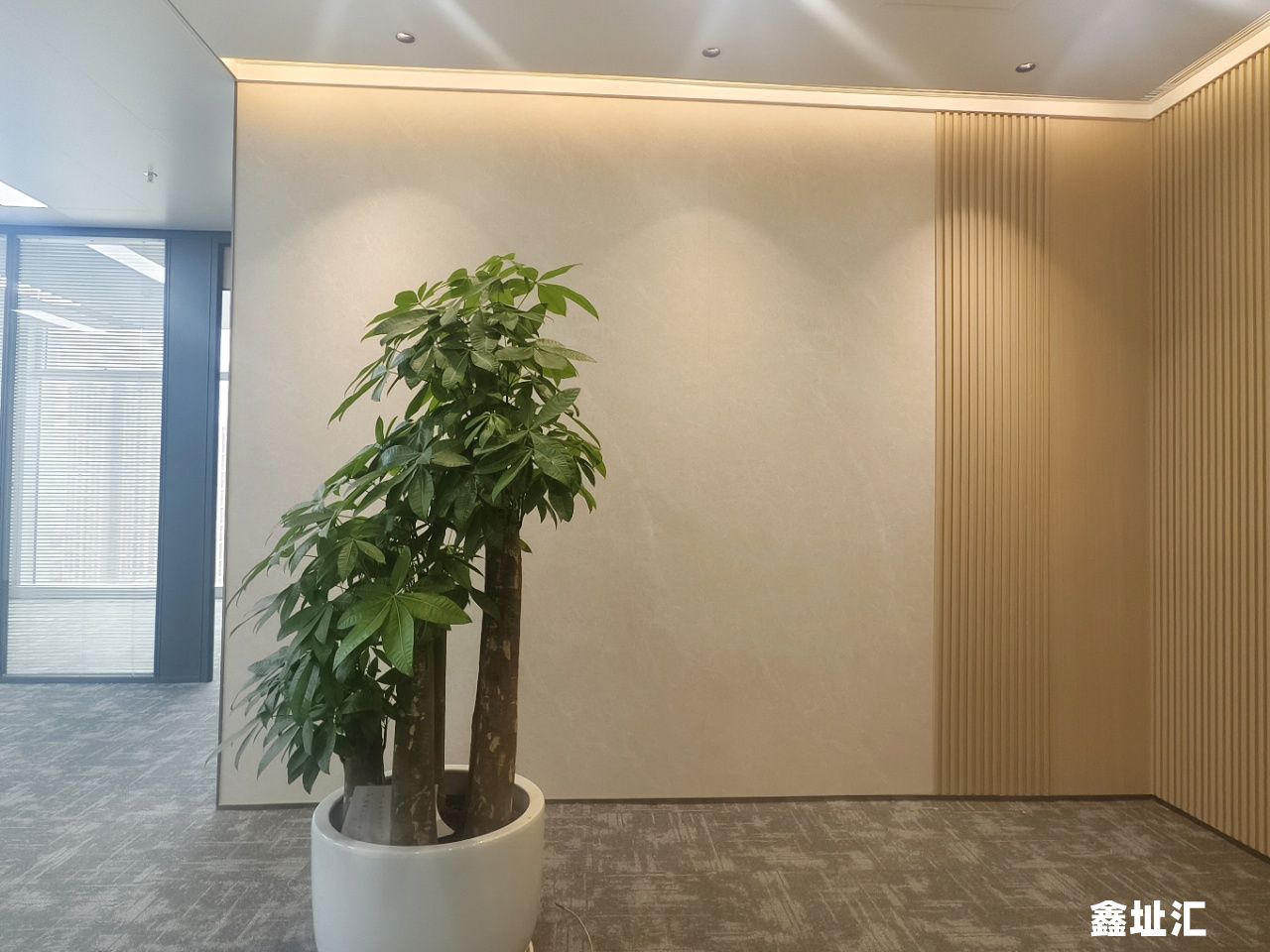 微信图片_2026-06-02_203356_586.jpg