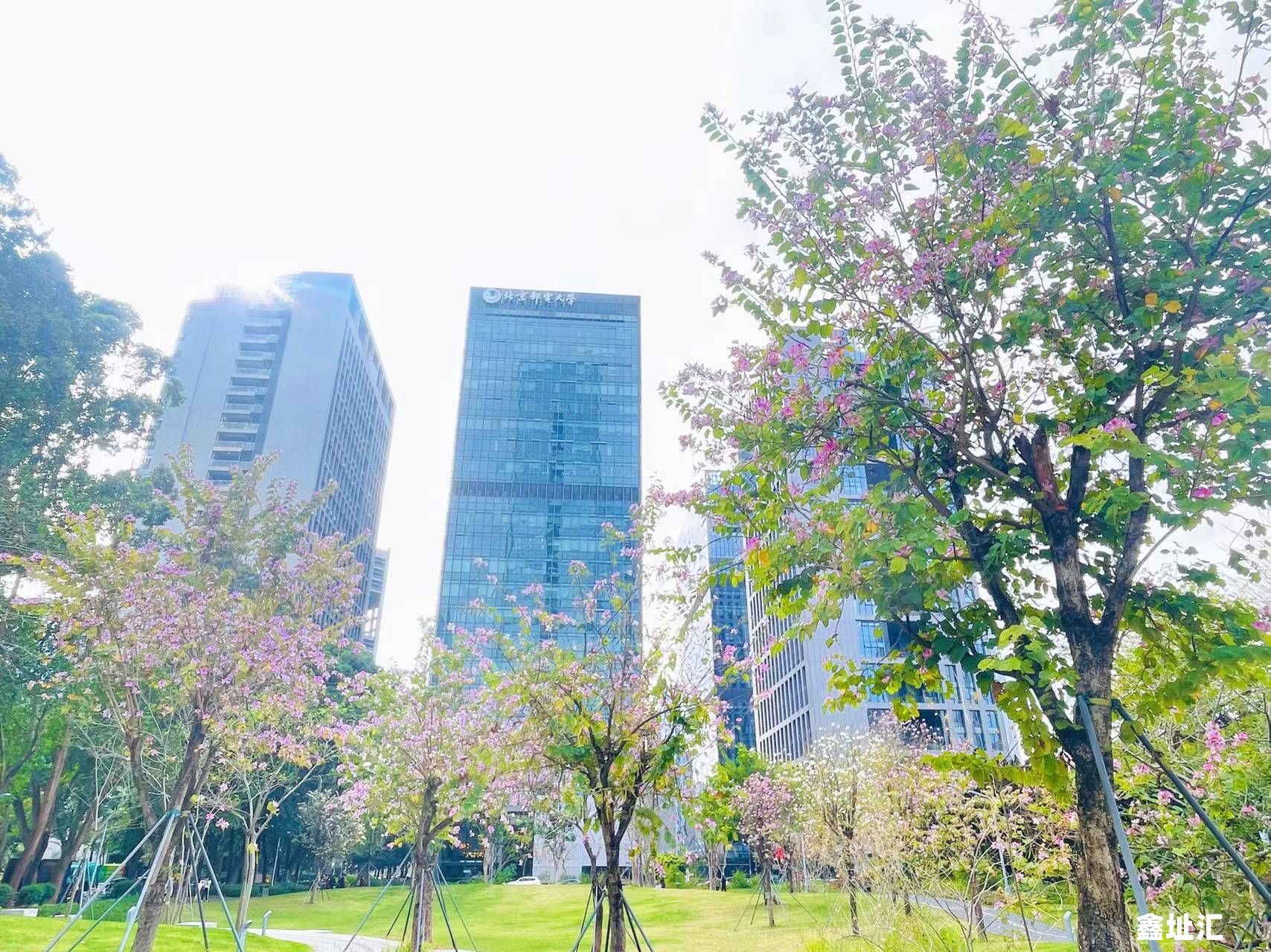 北邮科技大厦